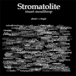 Screen capture from <em>Stromatolite</em>